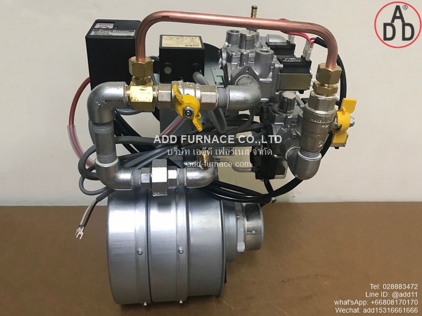 Pilot Burner TS-8N (1)